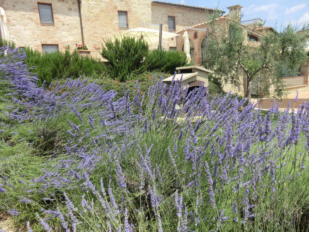Affittacamere La Pieve di San Martino Colle Val D'Elsa Esterno foto